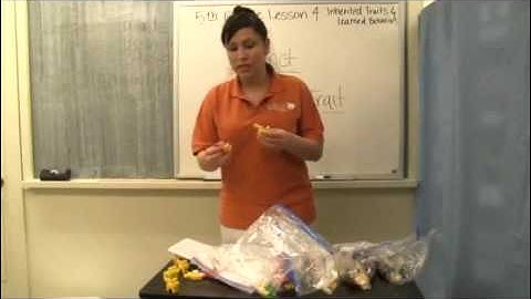 5th Grade - Lesson 1: Inherited Traits or Learned Behaviors