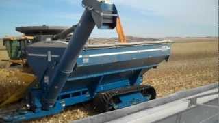 North Iowa Corn Harvest 2011