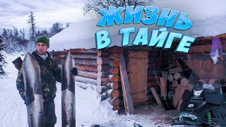 Найда Чуть Не Попала В Беду. Советский Топор. Один В Тайге. Отзыв На 