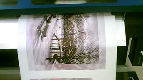 Photo To Canvas printing & Gallery Wrapping