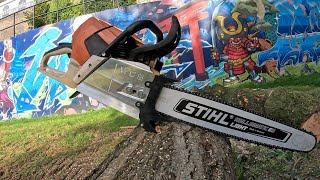 GROS DÉMONTAGE D'UN FRÊNE POURRI AU PIED STIHL 661