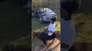 Video Credit Fuzz Raerae Owensfb