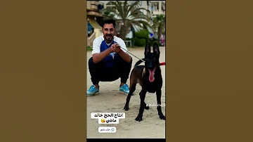 عاصم هنيدي مهرجان نصميم عاصم هنيدي مالينو اكسبلور المراه مهرجانات كلاب النظافه تيك توك 