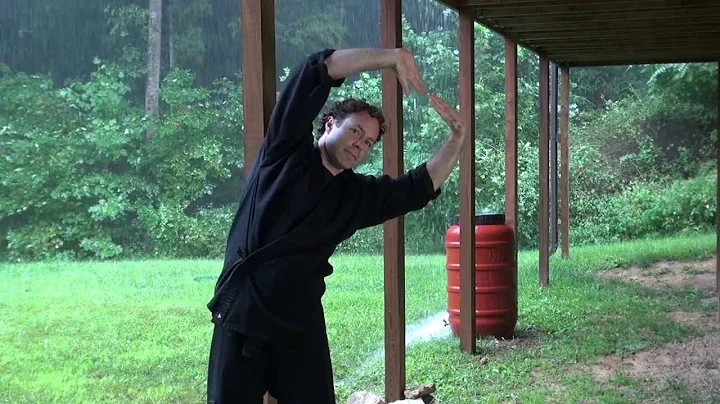Basic Chi Kung:  Simple Exercises for Health and W...