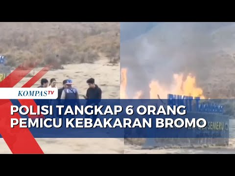 Flare Preweddding Diduga Jadi Penyebab Kebakaran Bukit Teletubbies Bromo