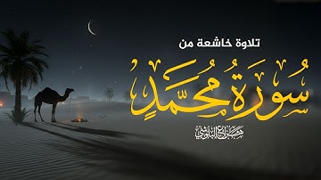 سورة محمد كاملة للشيخ هزاع البلوشي HAZZA ALBLUSHI I
