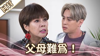 《好戲回甘》愛的榮耀 EP132 父母難為！