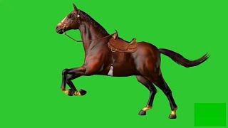 Green screen horse running video not copyright free to use