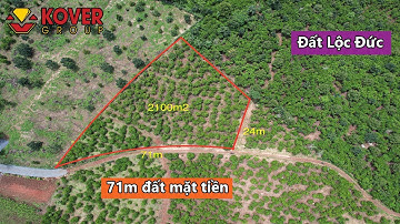 Bán 2100m2 đất view đồi xã Lộc Đức, Bảo Lâm