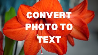 Photo To Text - Learn How To Convert Photo To Text For Free - ImageToText