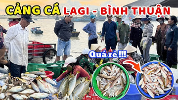 Cảng cá Lagi – Điểm đến không thể bỏ qua cho người mê hải sản giá rẻ, tươi ngon ! ❤️🏝