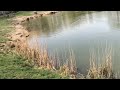 Горіховий гай.Прогулянка парком.