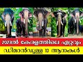 Top 10 popular elephants in kerala 2023      10   kerala elephants