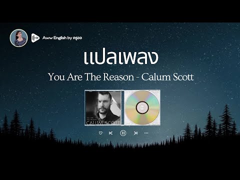 แปลเพลง You are the reason - Calum Scott | เรียนภาษาอังกฤษจากเพลง