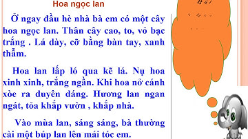 Khối 1: Tập đọc: Hoa ngọc lan