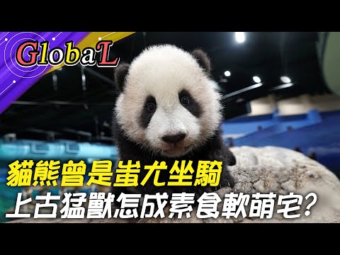 【Global】戰神變軟萌宅?蚩尤坐騎貓熊! 上古猛獸怎成素食主義者@全球大視野Global_Vision