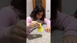 Slimix Best Forever Home