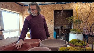 How to Make Concrete Bonsai Pots.Man left alone while wife escapes NS winter! Bonsai By The Sea Ep.5