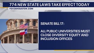 Nearly 800 new Texas laws have gone into effect