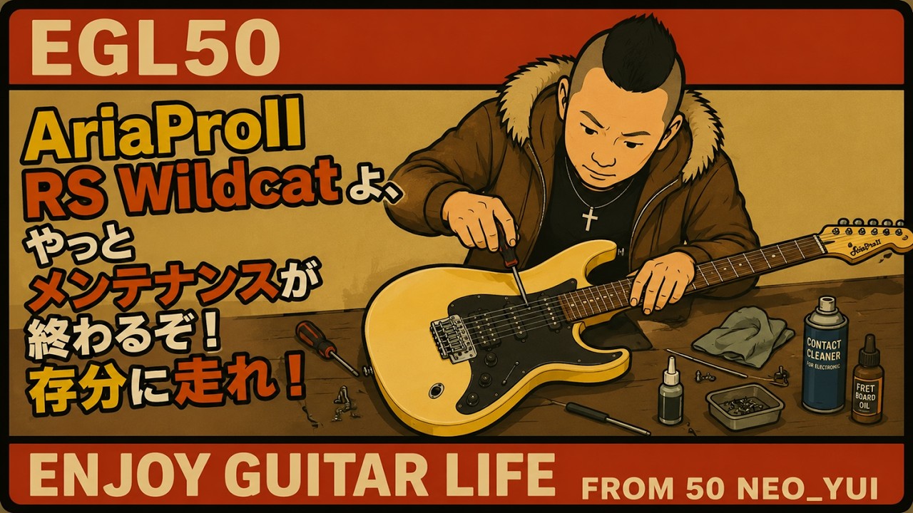 AriaProII RS Wildcatよ、やっとメンテナンスが終わるぞ！存分に走れ