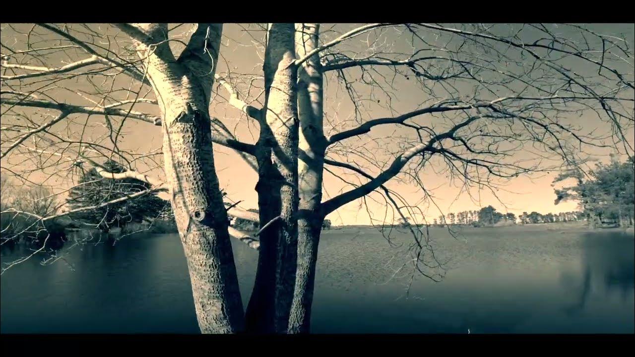 R.E.M find the river YouTube