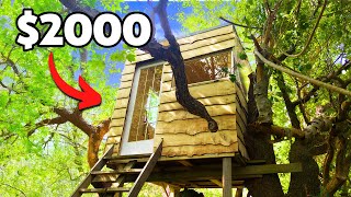 Download Lagu I Tried to Build a Cozy Treehouse for $2000 MP3 Download Lagu I Tried to Build a Cozy Treehouse for $2000 MP3