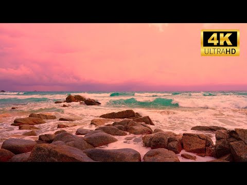 ⚡ Dynamic Sea