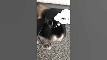 Welcome 💝 to Fiona and Filip