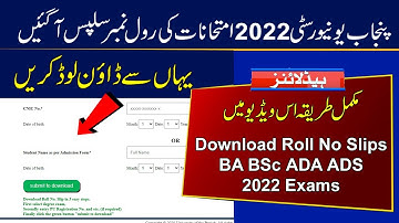 Download Roll Numbers Slips of PU BA BSc ADA ADS 2022 Exams | Punjab University Roll No Slips 2022
