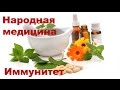 Иммунитет и народные средства