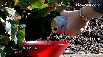 Cosa sono le birre ale?