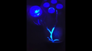 TechFire PS4 Wireless LED controller Lightning bolt blue