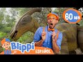 Blippi y el dino gigante  blippi  moonbug kids parque de juegos