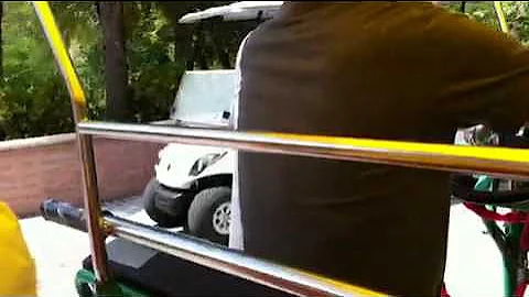 Olivia's first trip to the zoo!