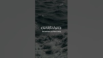 وعسى أن تكرهوا شيئا وهو خير لكم | سورة البقرة | ماهر المعيقلي