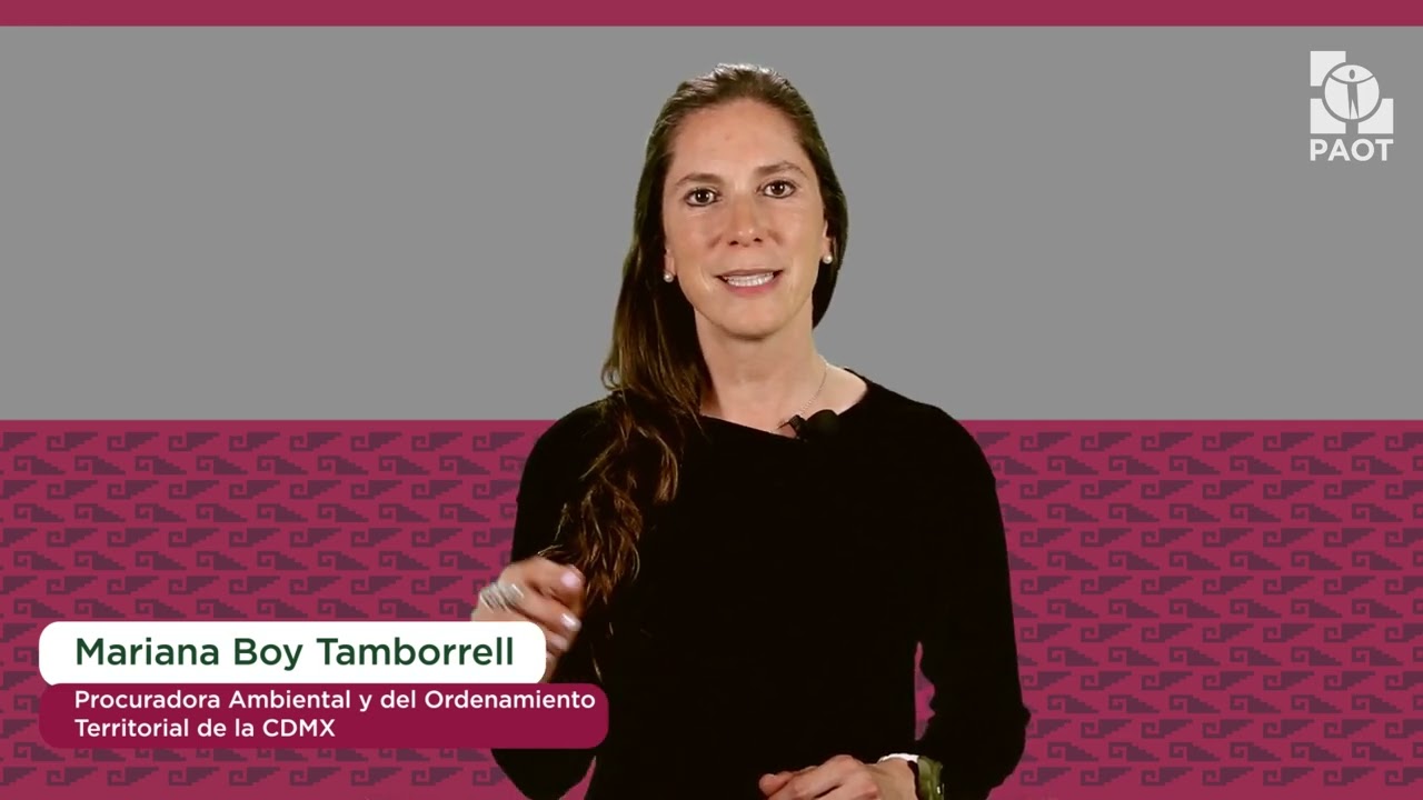 PAOT atiende denuncias por vibraciones.