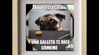 FOTOS DE RISA