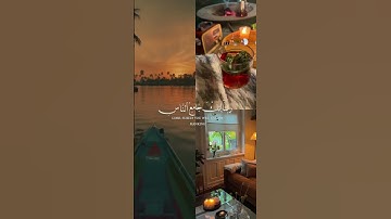 ستوࢪي #قران_كريم #حالات_واتس #سورة #عمران #القارئ #احمد_العجمي