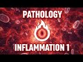 Inflammation Lec 1 🩸