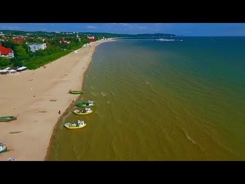 Видео: Цветение ядовитых водорослей в Миссисипи закрывает пляжи