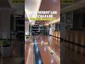 Hotel Berbintang di Semarang: Strategis, Nyaman, Rate Start 400-Ribuan Aja! #viralvideo #shortsviral