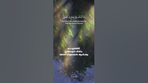 سورة الانعام 6/79 #quotes