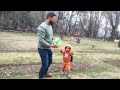 Fun with fahad in park vlogs 1