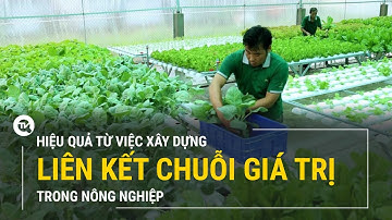 Sơn La: Hiệu quả từ việc xây dựng liên kết chuỗi giá trị trong nông nghiệp