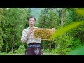 Chinese country girl from honey picking to bread and food making｜万蜂从中取蜂蜜，制作的美食，吃进嘴里甜在心里｜野小妹wild girl