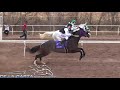 EL SULTAN VS LA CHICA DE JUAREZ 200 VARAS AVALOS RACE TRACK CHIHUAHUA 10 DE MARZO DEL 2019