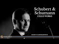 Ignacy Gaydamovich - Schubert & Schumann: Cello Works