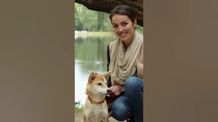 The SHIBA INU Effect: Why is This Breed WINNING HEARTS Worldwide? ♡ ♥💕❤😘