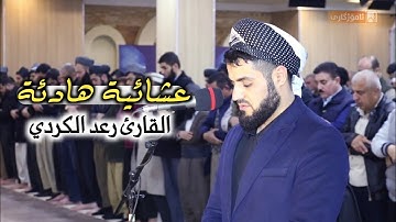 عشائية هادئة | ما تيسر من سورة المائدة _ القارئ رعد الكردي