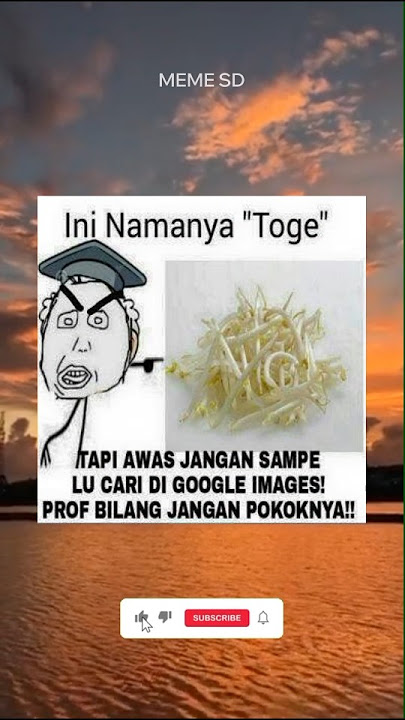 jangan cari toge di google #memes #memengakakkocak #memecringe #shorts #google #youtuber